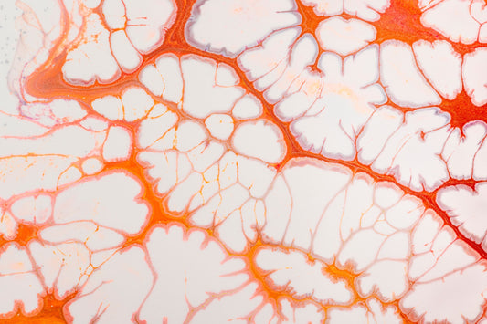 EWOT Benefits Capillary Density: The Science and What You Need to Know
